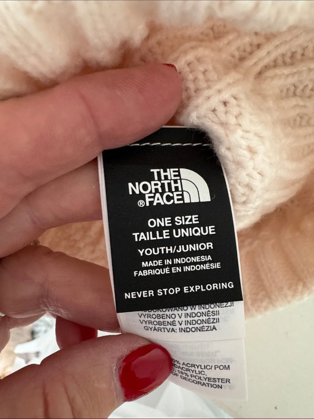The North Face north face